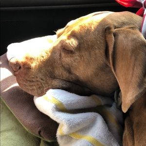 Meet your Posher, Heather